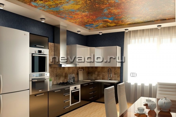 Потолки в кухню